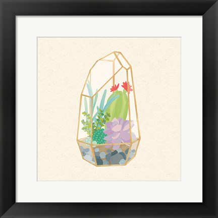 Framed Succulent Terrarium VI Print