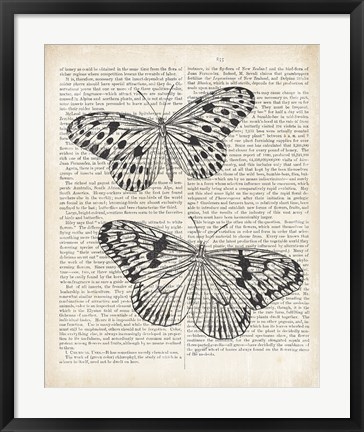 Framed Vintage Butterflies on Newsprint Print