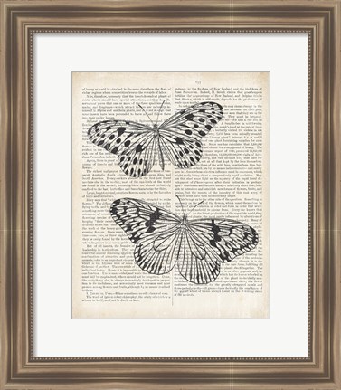 Framed Vintage Butterflies on Newsprint Print