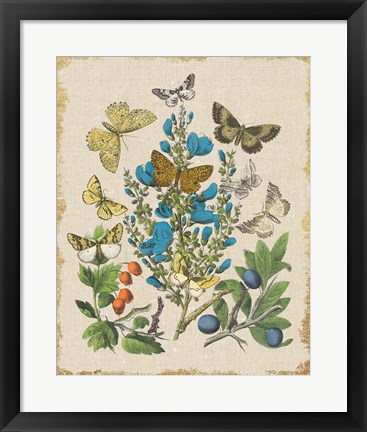 Framed Butterfly Bouquet II Linen Print