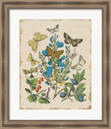 Framed Butterfly Bouquet II Linen Print