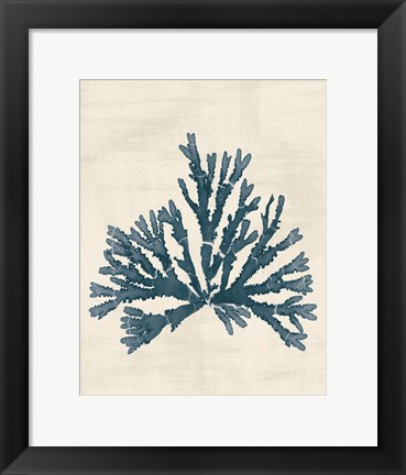 Framed Pacific Sea Mosses IV No Map Print