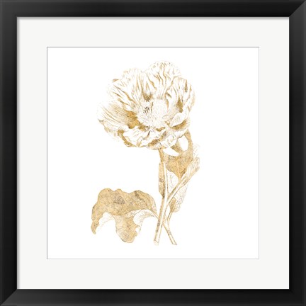 Framed Gilded Botanical VII Sq Print