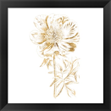 Framed Gilded Botanical VIII Sq Print