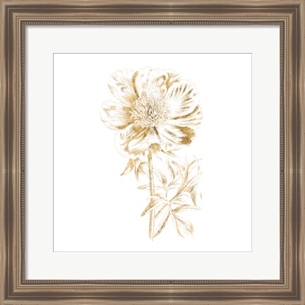 Framed Gilded Botanical VIII Sq Print