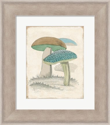 Framed Funghi Italiani Mushrooms Print