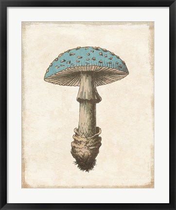 Framed Funghi Velenosi Blue Green Print