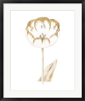 Framed Gilded Botanical V Print