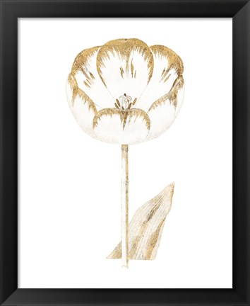 Framed Gilded Botanical V Print