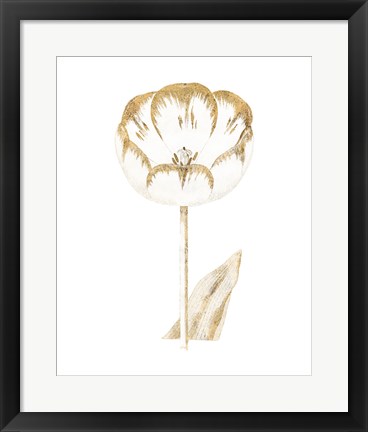 Framed Gilded Botanical V Print