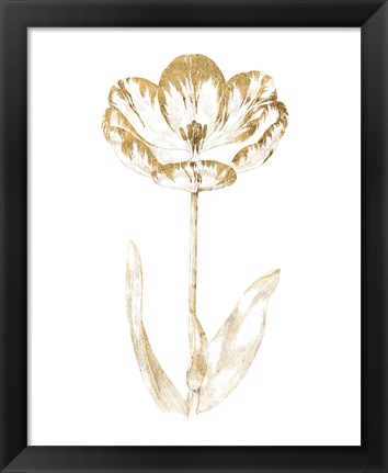 Framed Gilded Botanical VI Print