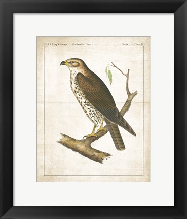 Framed Lookout II Print