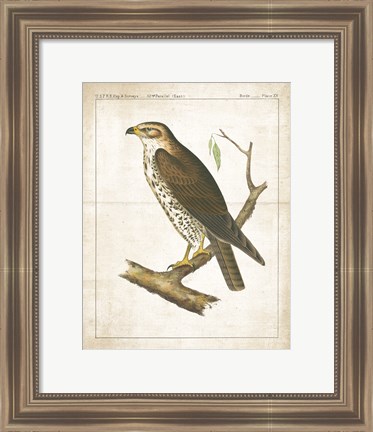 Framed Lookout II Print