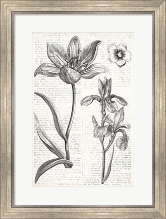 Framed Eden Spring II Print