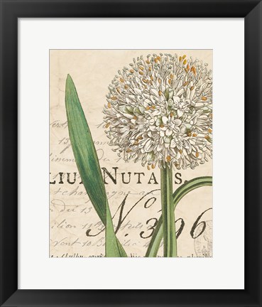 Framed Botanique Bleu II Vintage Print