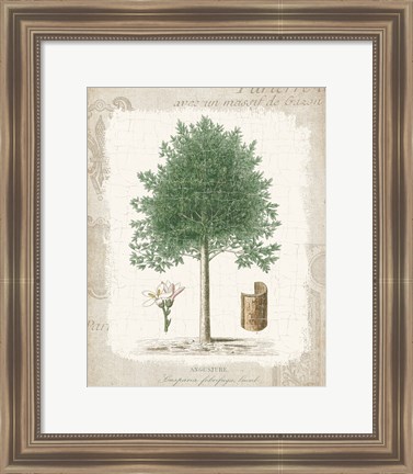 Framed Garden Trees I - Angusture Print