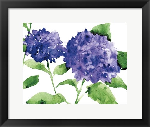 Framed Bright Hydrangeas Print