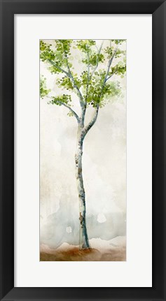 Framed Watercolor Birch Trees II Print