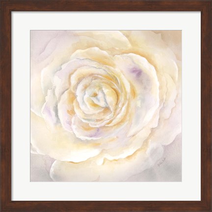Framed Watercolor Rose Closeup I Print