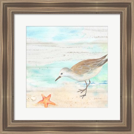 Framed Sandpiper Beach II Print