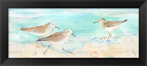 Framed Sandpiper Beach Panel Print