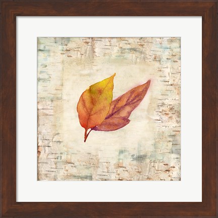 Framed Nature Walk Leaves I Print