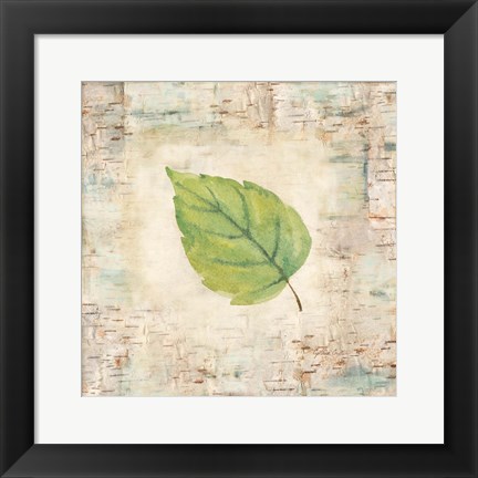 Framed Nature Walk Leaves IV Print