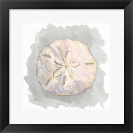 Framed Shells on Grey IV Print