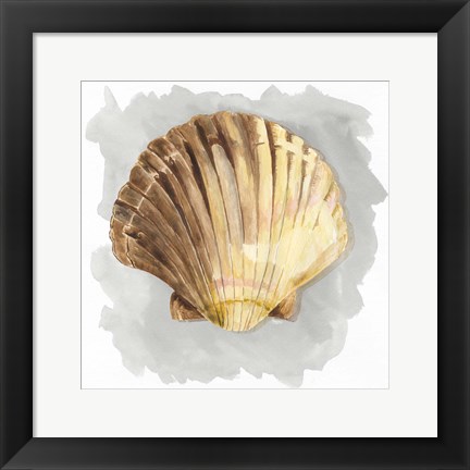 Framed Shells on Grey V Print