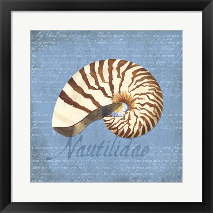 Framed Oceanum Shells Blue III Print