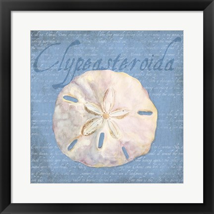 Framed Oceanum Shells Blue IV Print