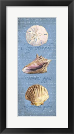 Framed Oceanum Shell Panel Blue I Print