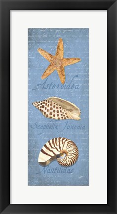 Framed Oceanum Shell Panel Blue II Print