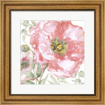 Framed Poppy Romance II Print