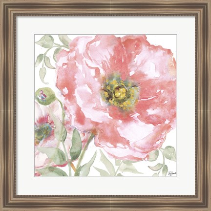 Framed Poppy Romance II Print