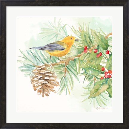 Framed Winter Birds I Warbler Print