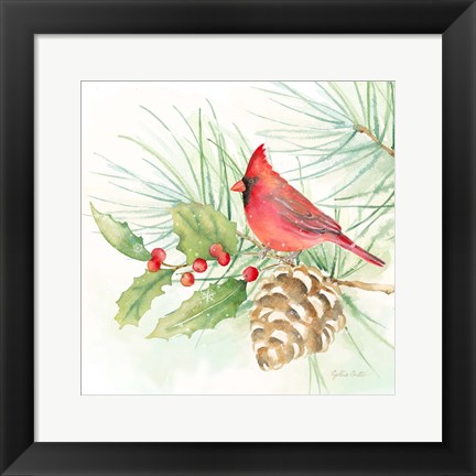 Framed Winter Birds IV Cardinal Print