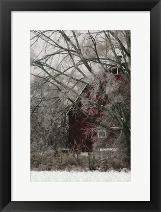 Framed Sheltered Print