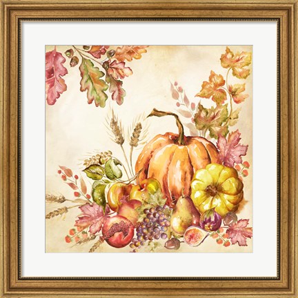 Framed Watercolor Harvest Pumpkins II Print