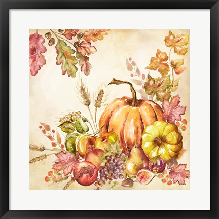 Framed Watercolor Harvest Pumpkins II Print