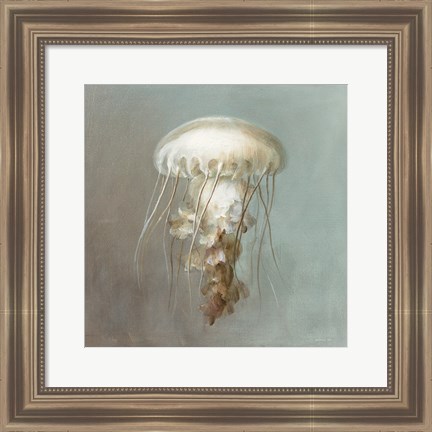 Framed Treasures from the Sea VI Print