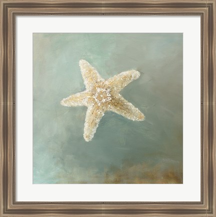 Framed Treasures from the Sea III Print