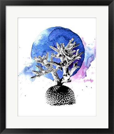 Framed Coral with Blue Splash Print