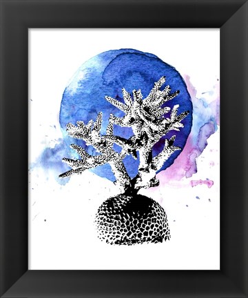 Framed Coral with Blue Splash Print