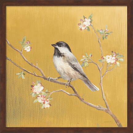 Framed Black Capped Chickadee on Gold Print