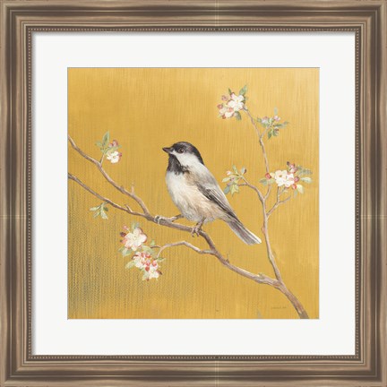 Framed Black Capped Chickadee on Gold Print