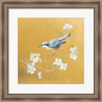 Framed Nuthatch on Gold Print