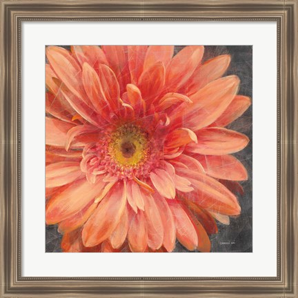 Framed Vivid Floral II Crop Print