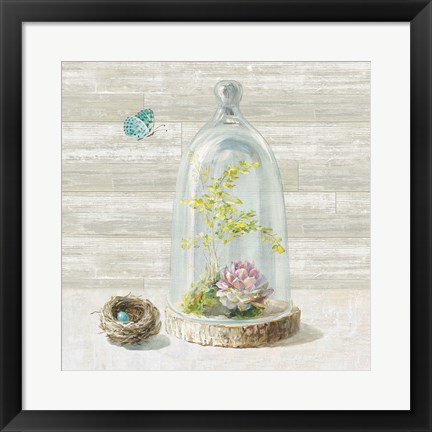 Framed Succulent Garden III Print