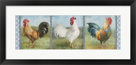 Framed Noble Roosters V Print